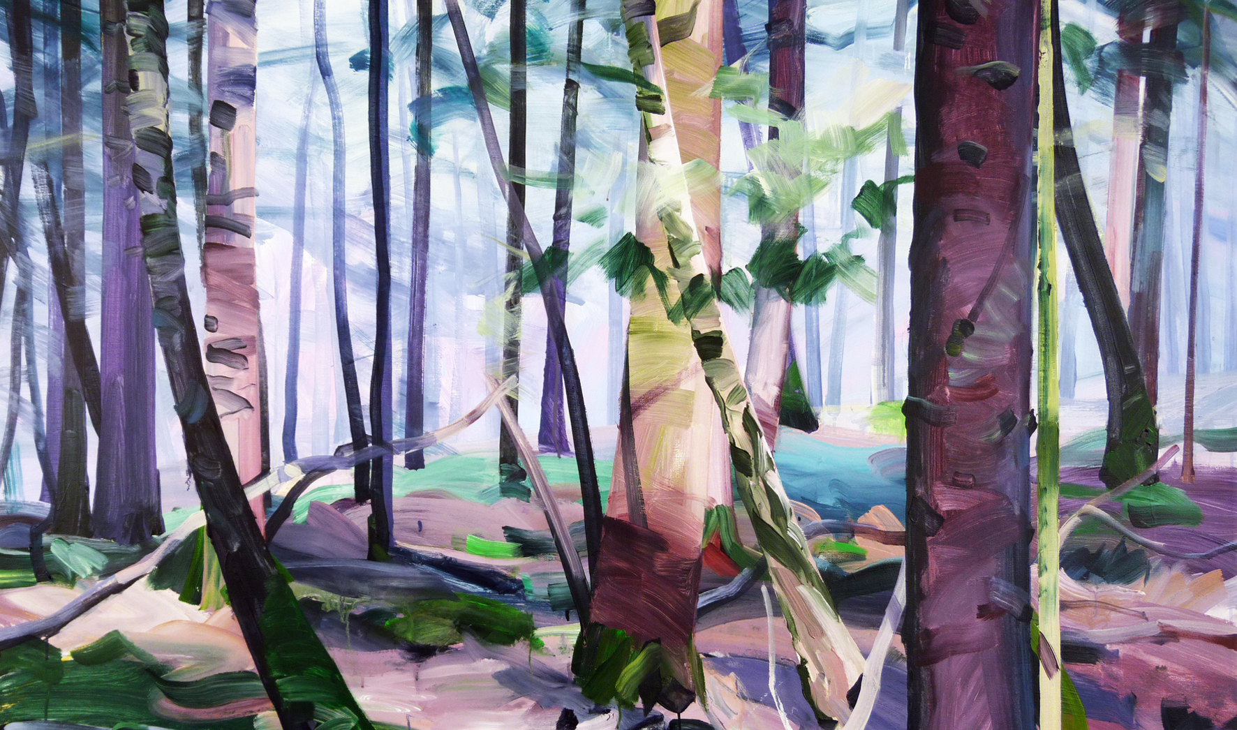 "Forêts" par Olivier Morel Maison des arts de Plessis Robinson